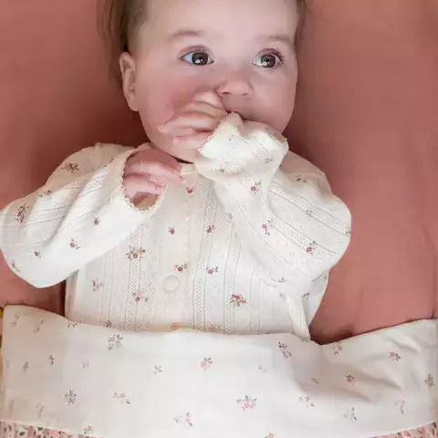 Little Dutch Little Blueberry