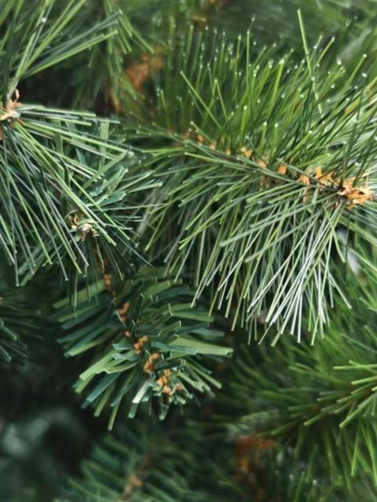 Коледно дърво Pine 180cm