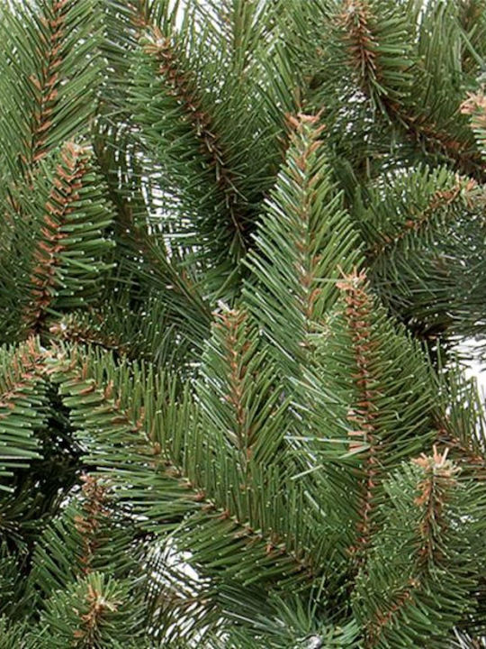 Christmas Tree 160cm in Pot