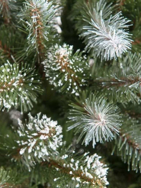 Christmas Tree Snowy 180cm in Pot