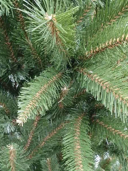 Weihnachtsbaum 120cm im Topf