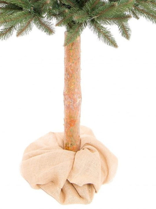 Christmas Tree 160cm in Pot