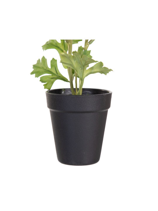 BigBuy Artificial Plant in Small Pot Black 29cm