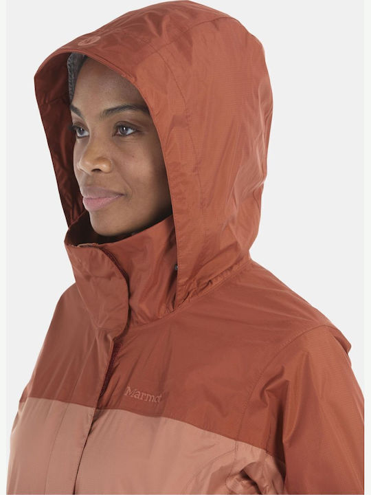 Precip Eco