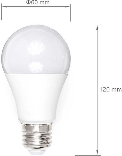 Eco Light Λάμπα LED 15W για Ντουί E27 και Σχήμα A60 Ψυχρό Λευκό 1350lm