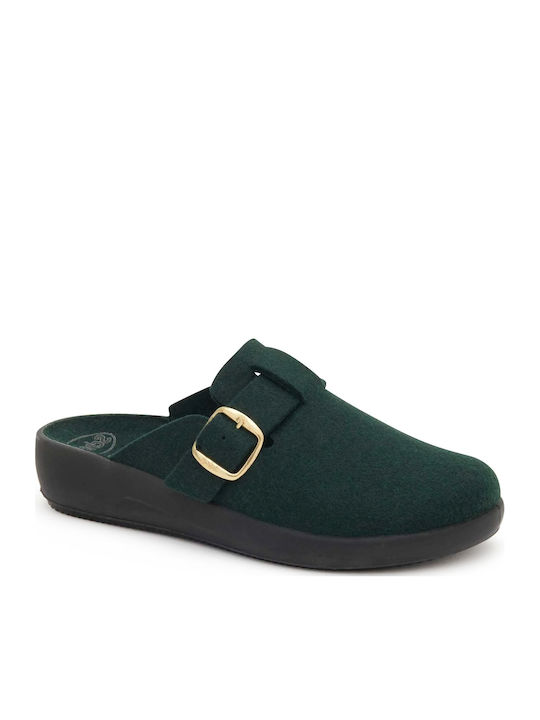 Scholl