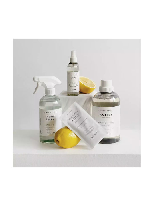 Steamery Αρωματικό Spray Υφάσματα Citrus + Cedar – 100ml