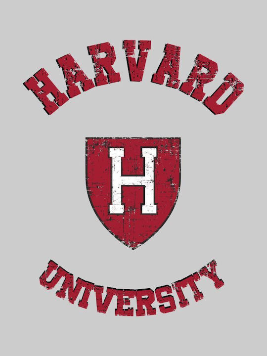 Harvard Sweatshirt (Replica) - ALB