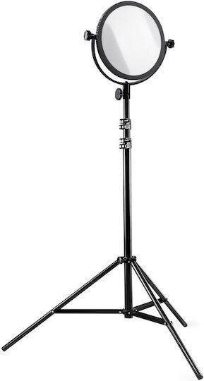 Walimex Video Licht Tageslicht 30W