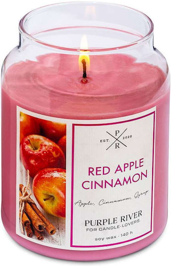 Purple River Lumânare Aromatică în Borcan cu Miros de Scorțișoară 623gr