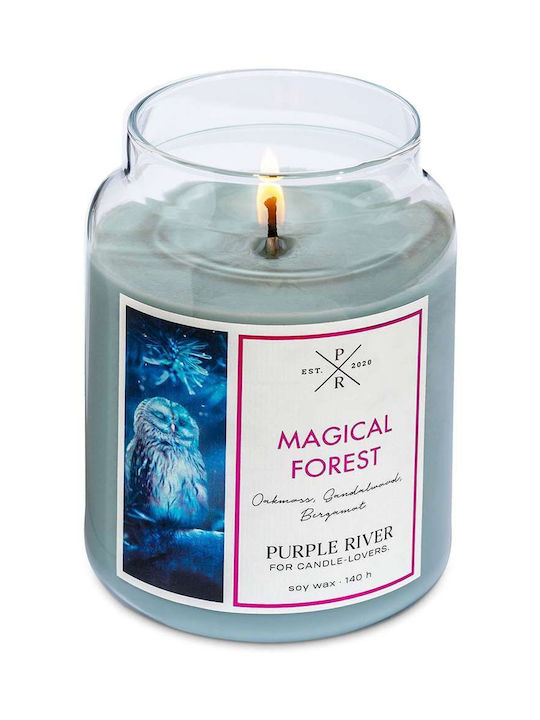 Purple River Αρωματικό Κερί Σόγιας σε Βάζο Πράσινο 623gr