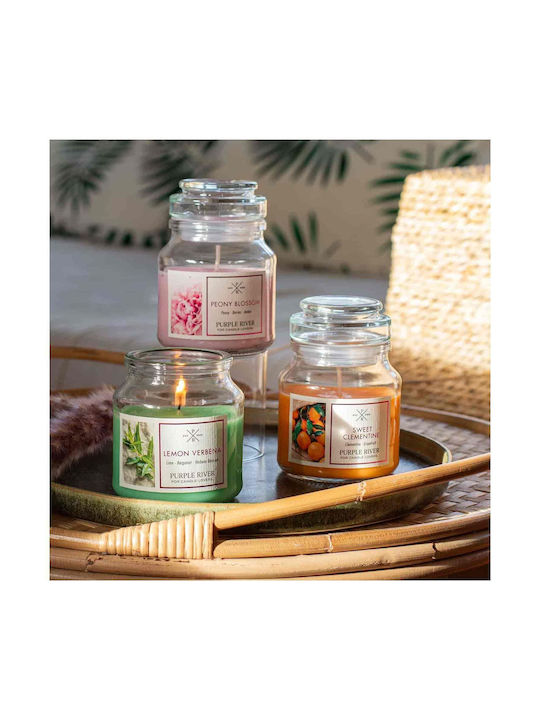 Purple River Aromatic Soy Candle in Jar 113g