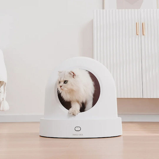 Pawgether Nest Pisici