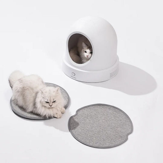 Pawgether Nest Pisici