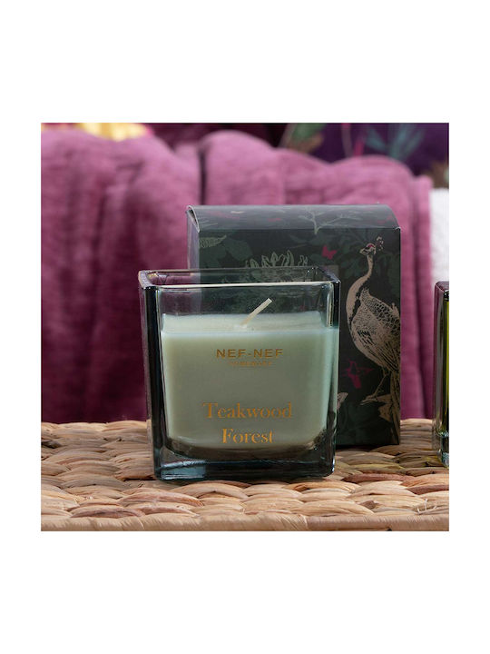 Aromatic Candle Teakwood Forest 200g Green Nef-nef Homeware