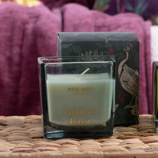 Lumânare aromatică Pădure de lemn de tec 200g Verde Nef-nef Homeware