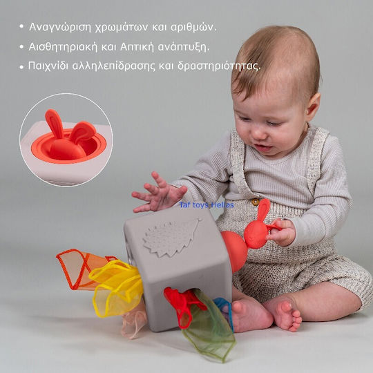 Taf Toys Sensorisch Pop Up Tissue Box für 12+ Monate