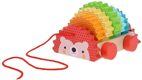 Petit Collage Wooden Pull Along Colorful Hedgehog Toy for Kids 18 Months+ Petit Collage