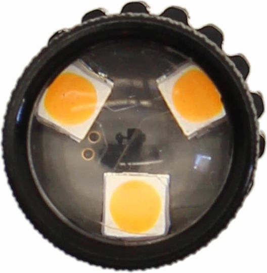 Lamps Car BA15S Canbus LED Orange 12-24V 5W 1pcs