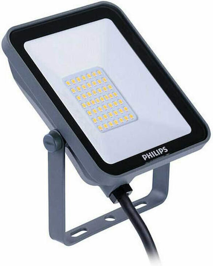 Philips Στεγανός Προβολέας LED 50W Φυσικό Λευκό 4000K IP65