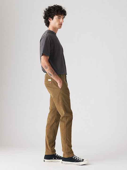 Xx Hose Chino Camel
