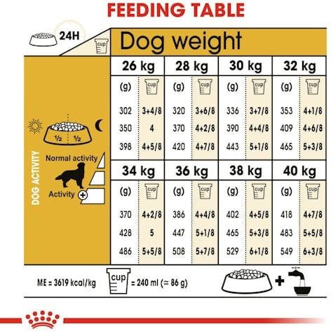 Royal Canin Adult Golden Retriever 12kg Dry Food Gluten-Free for Adult Large Breed Dogs with Poultry and Rice