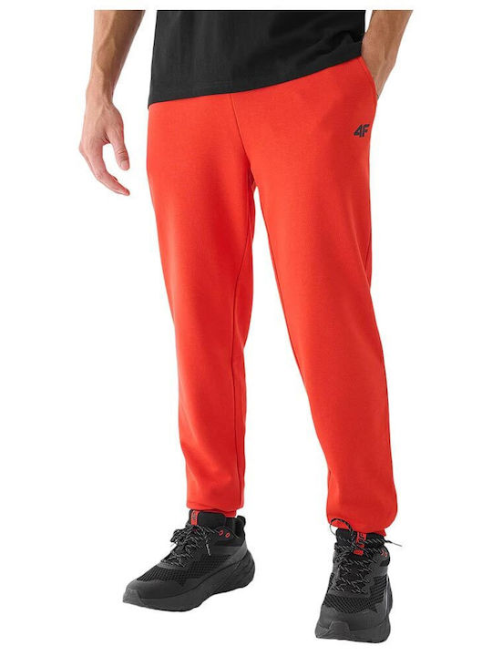 Sweatpants with Elastic Red