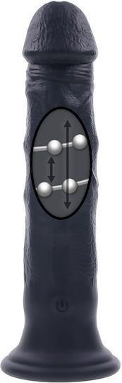 Evolved Novelties Dildo realist cu Scrotum Negru 19cm