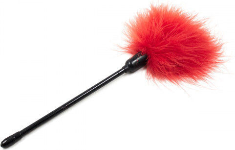 Naughty Toys BDSM Kit Σετ με Φετιχιστικά Ερωτικά Αξεσουάρ σε Κόκκινο Χρώμα 10τμχ