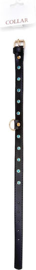Fetish Addict Halsband in Schwarz Farbe