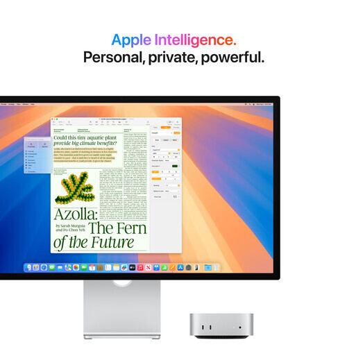 Apple Mac Mini (2024) (M4 10 nuclee/24GB/512GB SSD/MacOS) 10-Core