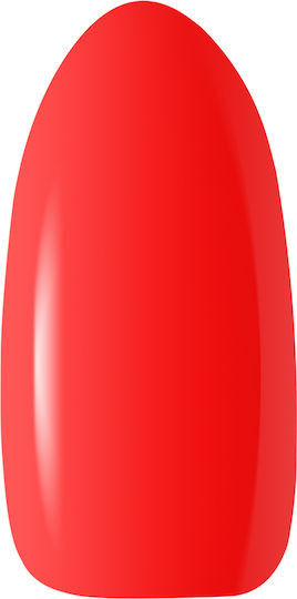 Activeshop Semi-Permanent Nail Polish F04 5gr 1pcs