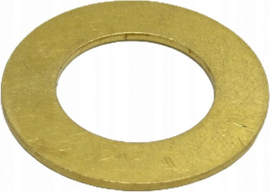 Karcher Hds Brass Disc Washer 21x32x1.8 5.115-255.0
