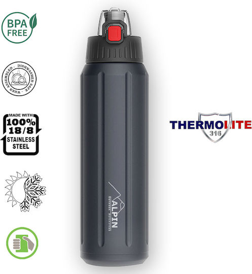 Alpin Recyclable Bottle Thermos Stainless Steel BPA Free 450ml Blue