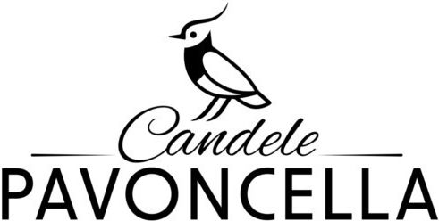 Natürliche Pavoncella Kerze Noir Duft 135g Weiß