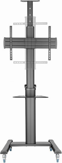 Gembird TVS-70T-02 Βάση Τηλεόρασης Δαπέδου έως 70kg Μαύρο