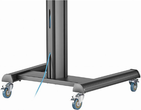 Gembird TVS-70T-02 Βάση Τηλεόρασης Δαπέδου έως 70kg Μαύρο