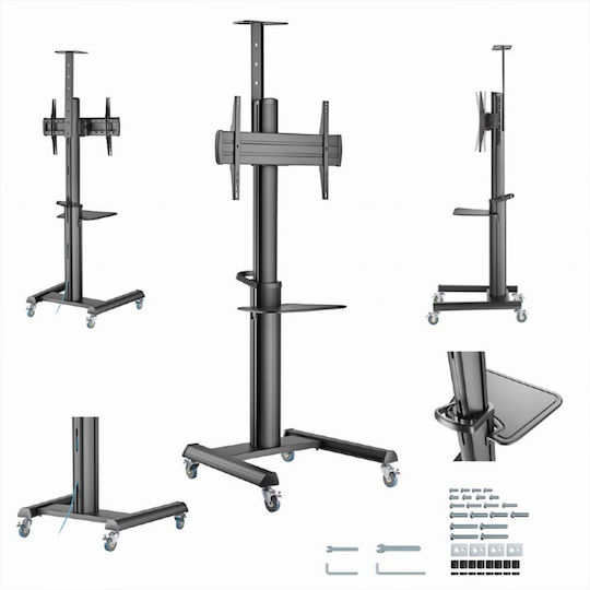 Gembird TVS-70T-02 Βάση Τηλεόρασης Δαπέδου έως 70kg Μαύρο