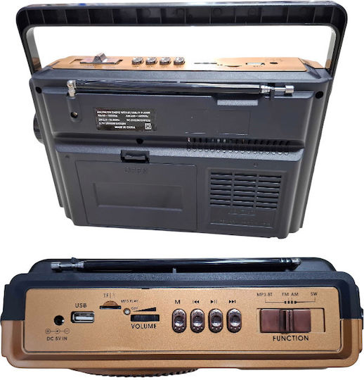 PX-101BT Cu baterie cu Bluetooth și USB Auriu
