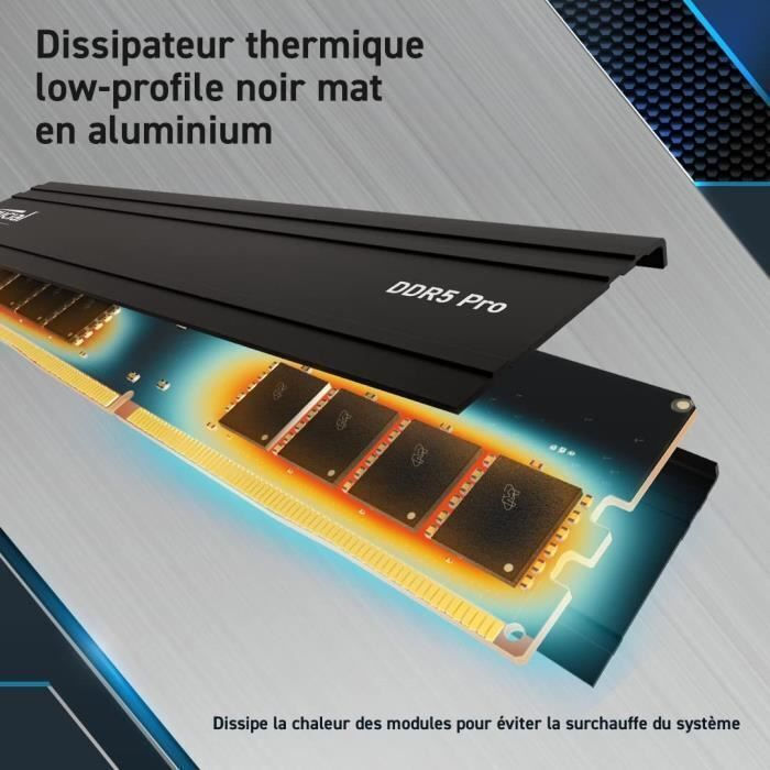 Crucial 48GB DDR5 RAM cu 2 module (2x24GB) și Viteză 5600 pentru
