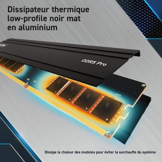 Crucial 48GB DDR5 RAM cu 2 module (2x24GB) și Viteză 5600 pentru