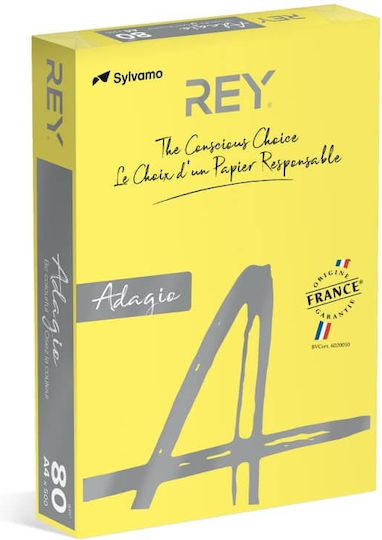 Rey Adagio Χαρτί Εκτύπωσης A4 80gr/m² 200 φύλλα Πολύχρωμο