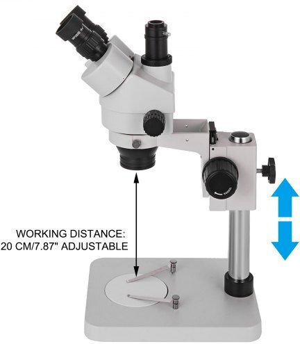 Vevor Stereo Educational Microscope