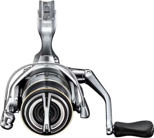 Shimano Sedona FJ Fischrolle für Spinnfischen 2500