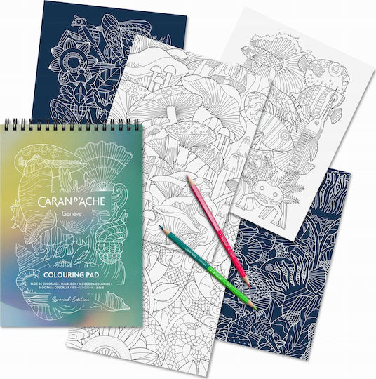 Colouring Book Your