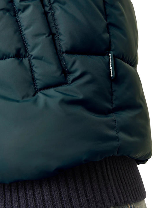Jacket Magical Forest Multi