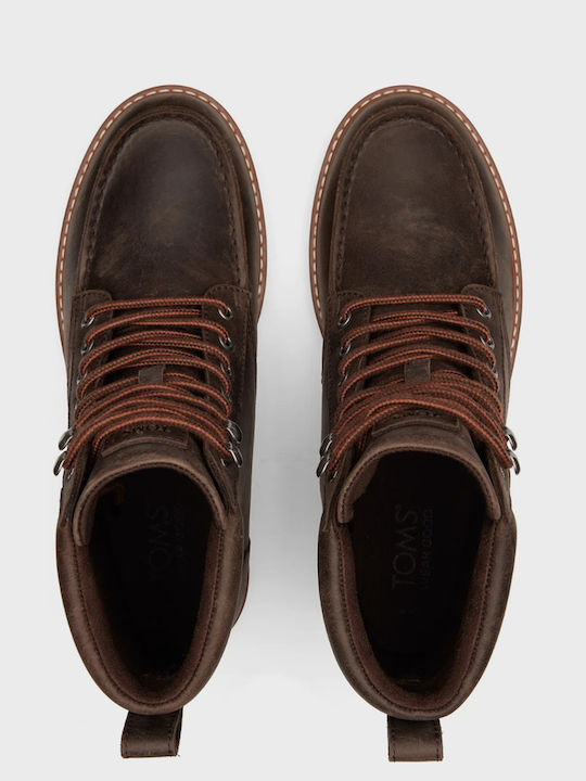 Toms