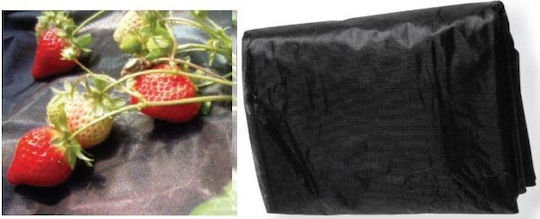 Folie de Mulci Perforată Neagră pentru Căpșuni 30 G/m2 1.4 X 5 M Folie de Mulci Perforată Neagră pentru Căpșuni 30 G/m2 1.4 X 5 M