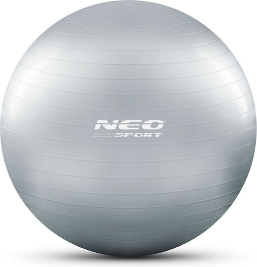 NEO Sport Mingii Pilates 75cm în culoare Argintiu
