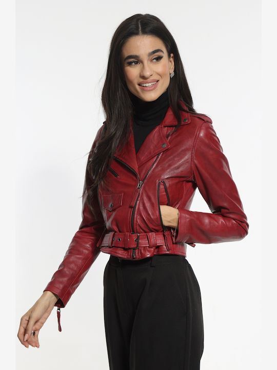 Newton Leather Perfecto Leather Jacket Leather Bordeaux